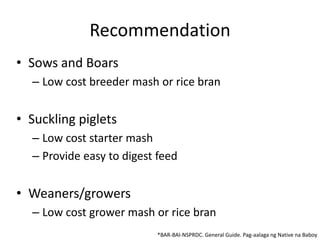 Recommendation
• Sows and Boars
– Low cost breeder mash or rice bran
• Suckling piglets
– Low cost starter mash
– Provide easy to digest feed
• Weaners/growers
– Low cost grower mash or rice bran
*BAR-BAI-NSPRDC. General Guide. Pag-aalaga ng Native na Baboy
 
