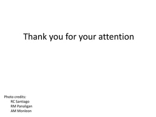 Thank you for your attention
Photo credits:
RC Santiago
RM Panaligan
AM Monleon
 