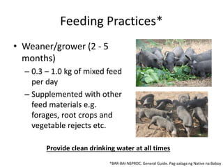 Feeding Practices*
• Weaner/grower (2 - 5
months)
– 0.3 – 1.0 kg of mixed feed
per day
– Supplemented with other
feed materials e.g.
forages, root crops and
vegetable rejects etc.
*BAR-BAI-NSPRDC. General Guide. Pag-aalaga ng Native na Baboy
Provide clean drinking water at all times
 