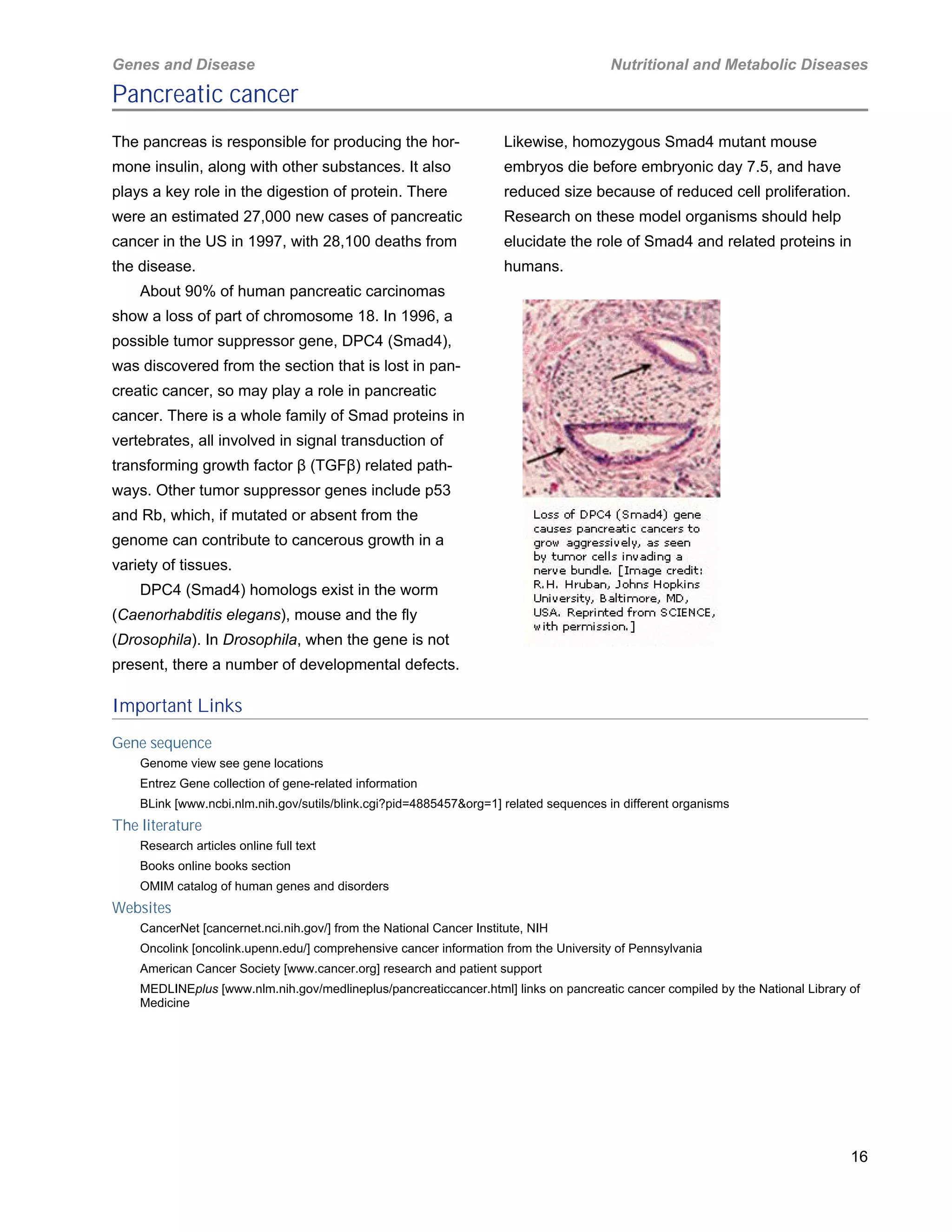 Image result for Other exotic disorders handed organisms'reacticanine deemed