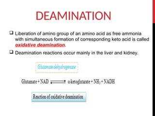 Nutrition and Metabolism of Proteins.pptx