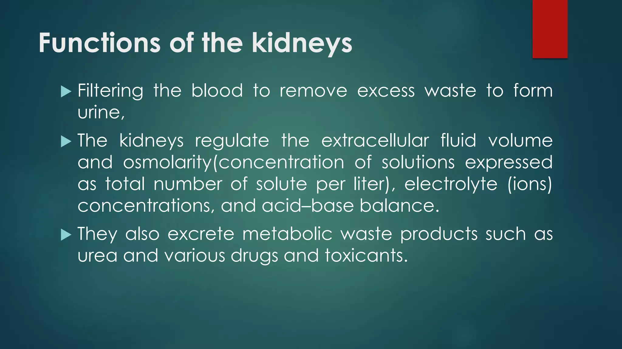 Functions of the kidneys
 Filtering the blood to remove excess waste to form
urine,
 The kidneys regulate the extracellular fluid volume
and osmolarity(concentration of solutions expressed
as total number of solute per liter), electrolyte (ions)
concentrations, and acid–base balance.
 They also excrete metabolic waste products such as
urea and various drugs and toxicants.
 
