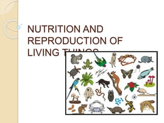 NUTRITION AND
REPRODUCTION OF
LIVING THINGS
 