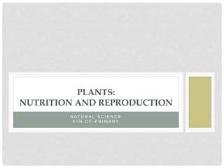 N A T U R A L S C I E N C E
5 T H O F P R I M A R Y
PLANTS:
NUTRITION AND REPRODUCTION
 