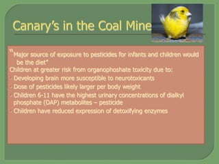 “Major source of exposure to pesticides for infants and children would
be the diet”
Children at greater risk from organophoshate toxicity due to:
§  Developing brain more susceptible to neurotoxicants
§  Dose of pesticides likely larger per body weight
§  Children 6-11 have the highest urinary concentrations of dialkyl
phosphate (DAP) metabolites – pesticide
§  Children have reduced expression of detoxifying enzymes
 