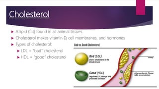 Cholesterol
 A lipid (fat) found in all animal tissues
 Cholesterol makes vitamin D, cell membranes, and hormones
 Types of cholesterol:
 LDL = “bad” cholesterol
 HDL = “good” cholesterol
 