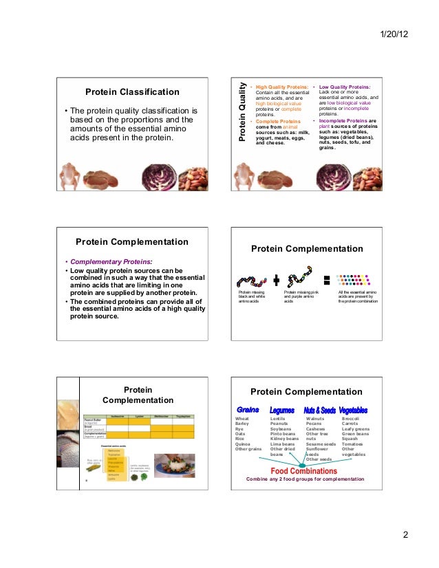 Nutrition basic terminology
