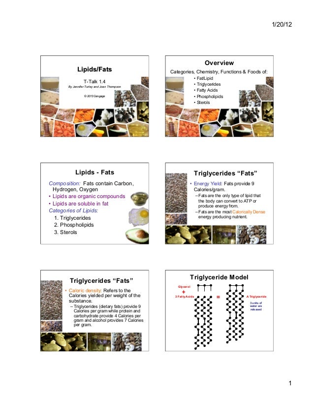Nutrition basic terminology