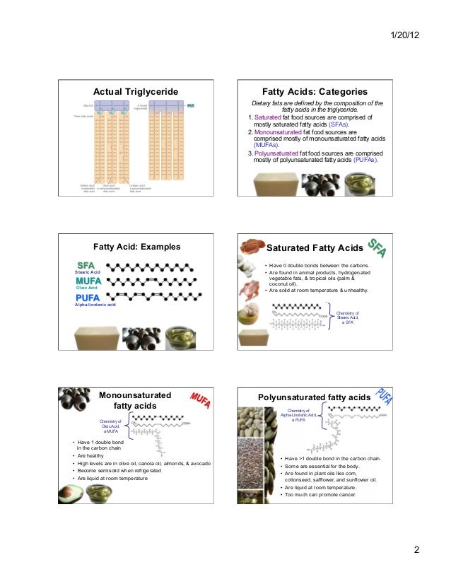 Nutrition basic terminology