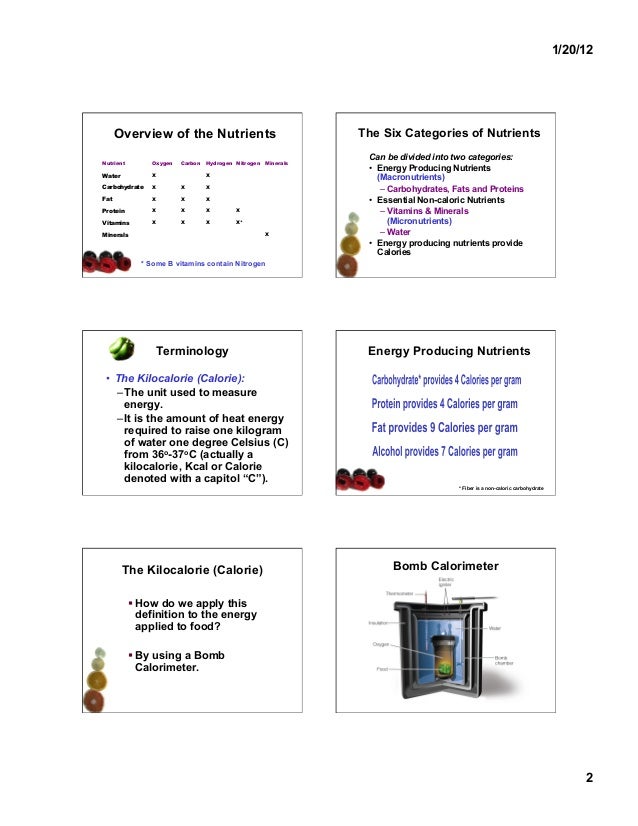 Nutrition basic terminology