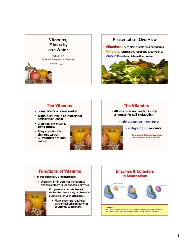 Nutrition basic terminology