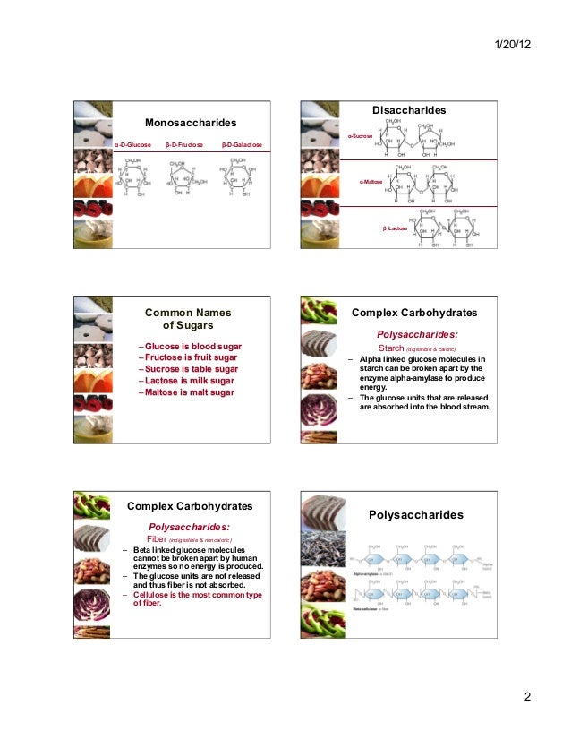 Nutrition basic terminology