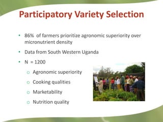 Combating Hidden Hunger through Bio-fortification