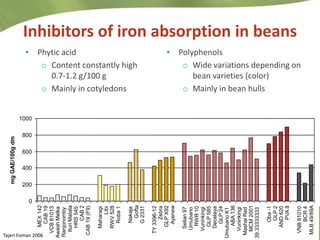 Combating Hidden Hunger through Bio-fortification