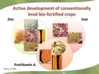 Combating Hidden Hunger through Bio-fortification