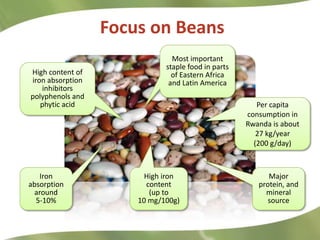 Combating Hidden Hunger through Bio-fortification