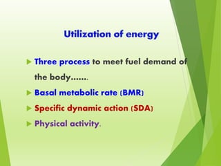  Three process to meet fuel demand of
the body…….
 Basal metabolic rate (BMR)
 Specific dynamic action (SDA)
 Physical activity.
 