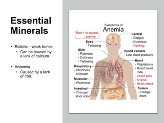 Essential
Minerals
• Rickets – weak bones
• Can be caused by
a lack of calcium.
• Anaemia
• Caused by a lack
of iron.
 
