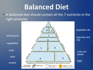 Balanced Diet
• A balanced diet should contain all the 7 nutrients in the
right amounts.
Loma
Linda
University
Vegetarian
Food
Pyramid
b
i
fruits
whole grains
vegetables
vegetable oils
legumes and
soy
nuts and
seeds
eggs
sweets
a
c d
e
f
g h
 
