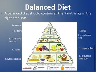 Balanced Diet
• A balanced diet should contain all the 7 nutrients in the
right amounts.
Loma
Linda
University
Vegetarian
Food
Pyramid
c. fruits
a. whole grains
d. vegetables
f. vegetable
oils
b. legumes
and soy
e. nuts and
seeds
h.eggs
i.sweets
 