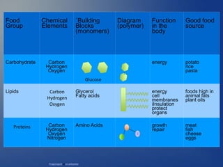 Food
Group
Chemical
Elements
´Building
Blocks´
(monomers)
Diagram
(polymer)
Function
in the
body
Good food
source
Carbohydrate Carbon
Hydrogen
Oxygen
energy potato
rice
pasta
Lipids Glycerol
Fatty acids
energy
cell
membranes
iInsulation
protect
organs
foods high in
animal fats
plant oils
Carbon
Hydrogen
Oxygen
Nitrogen
Amino Acids growth
repair
meat
fish
cheese
eggs
Pingpongwill at en.wikipedia
Carbon
Hydrogen
Oxygen
Proteins
Glucose
 