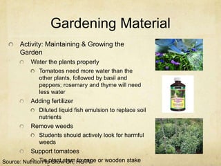 Gardening Material
      Activity: Maintaining & Growing the
      Garden
          Water the plants properly
             Tomatoes need more water than the
             other plants, followed by basil and
             peppers; rosemary and thyme will need
             less water
          Adding fertilizer
             Diluted liquid fish emulsion to replace soil
             nutrients
          Remove weeds
             Students should actively look for harmful
             weeds
          Support tomatoes
Source: Nutrition toplant stem HGTV or wooden stake
                Tie Grow On, to cage
 