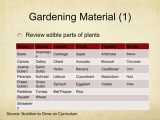 Gardening Material (1)
          Review edible parts of plants
     Roots       Stems      Leaves        Fruits      Flowers       Seeds
                 Asparagu
     Beets                Cabbage         Apple       Artichoke     Beans
                 s
     Carrots     Celery     Chard         Avocado     Broccoli      Chocolate
     Jicama      Garlic
                            Herbs         Banana      Cauliflower   Corn
     (tuber)     (bulb)
     Parsnips    Kohlrabi   Lettuce       Cucumbers   Nasturtium    Nuts
     Potato      Onion
                            Spinach       Eggplant    Violets       Peas
     (tuber)     (bulb)
     Radishes    Turnips    Bell Pepper   Rice
     Squash      Wheat
     Strawberr
     y
Source: Nutrition to Grow on Curriculum
 