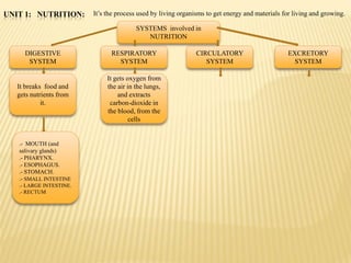 Nutrition diagram. english | PDF