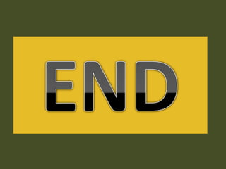 Nutrition & dietetics (2)