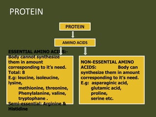 PROTEIN
PROTEIN
AMINO ACIDS
ESSENTIAL AMINO ACIDS:-
Body cannot synthesize
them in amount
corresponding to it’s need.
Total: 8
E.g: leucine, isoleucine,
lysine,
methionine, threonine,
Phenylalanine, valine,
tryptophane .
Semi-essential: Arginine &
Histidine
NON-ESSENTIAL AMINO
ACIDS: Body can
synthesize them in amount
corresponding to it’s need.
E.g: asparaginic acid,
glutamic acid,
proline,
serine etc.
 