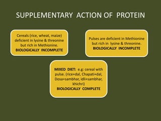 SUPPLEMENTARY ACTION OF PROTEIN
MIXED DIET: e.g: cereal with
pulse. (rice+dal, Chapati+dal,
Dosa+sambhar, idli+sambhar,
khichri)
BIOLOGICALLY COMPLETE
Cereals (rice, wheat, maize)
deficient in lysine & threonine
but rich in Methionine.
BIOLOGICALLY INCOMPLETE
Pulses are deficient in Methionine
but rich in lysine & threonine.
BIOLOGICALLY INCOMPLETE
 