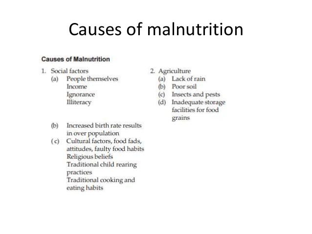 Nutrition Diet Factors Bmr Food Serving