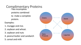 Nutrition & Diet Therapy | PPTX