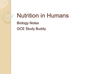 Nutrition in Humans
Biology Notes
GCE Study Buddy
 