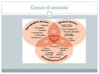 Causes of anaemia
 