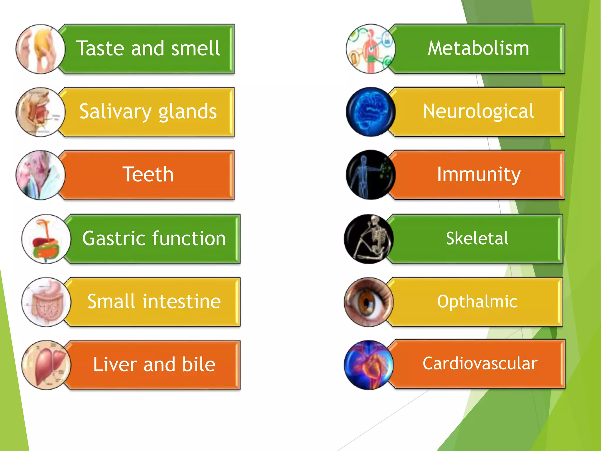 Taste and smell
Salivary glands
Teeth
Gastric function
Small intestine
Liver and bile
Metabolism
Neurological
Immunity
Skeletal
Opthalmic
Cardiovascular
 