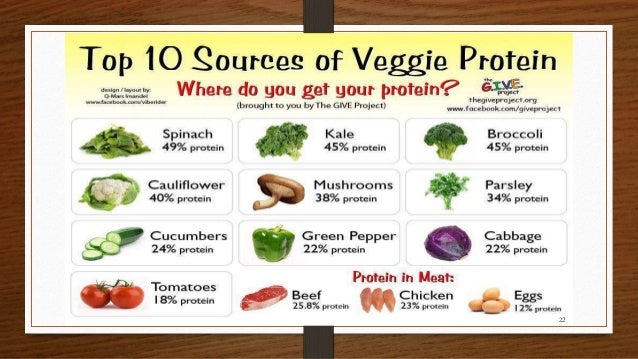 Nutrition During Pregnancy