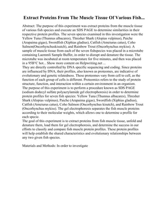 Extract Proteins From The Muscle Tissue Of Various Fish...
Abstract: The purpose of this experiment was extract proteins from the muscle tissue
of various fish species and execute an SDS PAGE to determine similarities in their
respective protein profiles. The seven species examined in this investigation were the
Yellow Tuna (Thunnus albacares), Thresher Shark (Alopias vulpinus), Paiche
(Arapaima gigas), Swordfish (Xiphias gladius), Catfish (Ameiurus catus), Coho
Salmon(Oncorhynchuskisutch), and Rainbow Trout (Oncorhynchus mykiss). A
sample of muscle tissue from each of the seven fishspecies was placed in a microtube
containing Laemmli Sample Buffer, in order to disrupt and denature the tissue. The
microtube was incubated at room temperature for five minutes, and then was placed
in a 95В°C hot... Show more content on Helpwriting.net ...
They are directly controlled by DNA specific sequencing and coding. Since proteins
are influenced by DNA, their profiles, also known as proteomes, are indicative of
evolutionary and genetic relatedness. These proteomes vary from cell to cell, as the
function of each group of cells is different. Proteomics refers to the study of protein
structure, function, and interaction within a certain environment in an organism.
The purpose of this experiment is to perform a procedure known as SDS PAGE
(sodium dodecyl sulfate polyacrylamide gel electrophoresis) in order to determine
protein profiles for seven fish species: Yellow Tuna (Thunnus albacares), Thresher
Shark (Alopias vulpinus), Paiche (Arapaima gigas), Swordfish (Xiphias gladius),
Catfish (Ameiurus catus), Coho Salmon (Oncorhynchus kisutch), and Rainbow Trout
(Oncorhynchus mykiss). The gel electrophoresis separates the fish muscle proteins
according to their molecular weights, which allows one to determine a profile for
each specie.
The goal of this experiment is to extract proteins from fish muscle tissue, unfold and
denature them, load them for gel electrophoresis, and determine the success in our
efforts to classify and compare fish muscle protein profiles. These protein profiles
will help establish the shared characteristics and evolutionary relationships between
any two given fish species.
Materials and Methods: In order to investigate
 