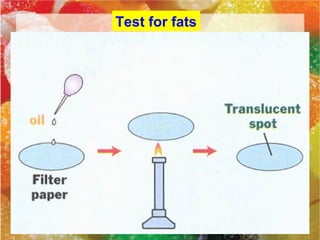 Nutrition f1 igcse | PPT