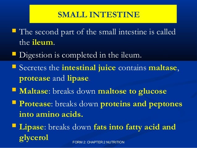 Quick fat burn tips picture 9