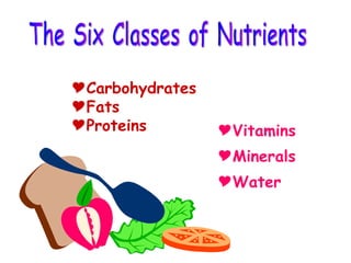 Vitamins Minerals Water The Six Classes of Nutrients Carbohydrates Fats Proteins 