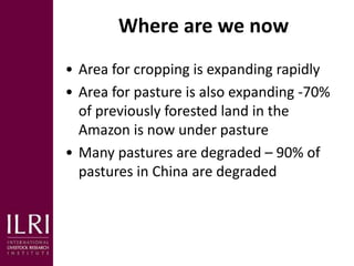Livestock and sustainable food and nutrition security: Business as usual