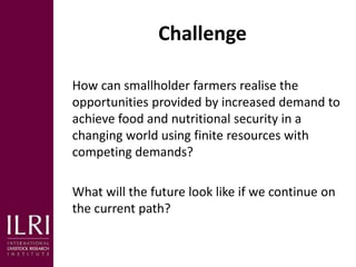 Livestock and sustainable food and nutrition security: Business as usual