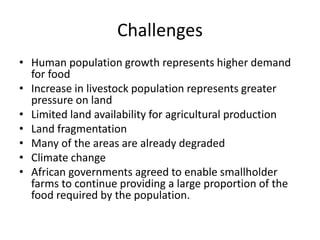 Sustainable intensification of small-scale agriculture: How to ensure food and nutritional security?