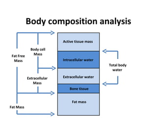 Body composition analysis
                            Active tissue mass

              Body cell
 Fat Free      Mass
  Mass                      Intracellular water
                                                  Total body
                                                    water

            Extracellular   Extracellular water
                Mass
                                Bone tissue


                                 Fat mass
Fat Mass
 