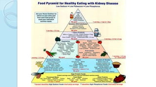 Nutrition for children and adolescents with chronic kidney disease | PPT