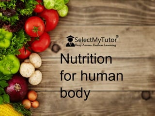 Nutrition for human body
