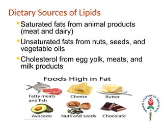 Dietary Sources of Lipids
·Saturated fats from animal products
(meat and dairy)
·Unsaturated fats from nuts, seeds, and
vegetable oils
·Cholesterol from egg yolk, meats, and
milk products
 