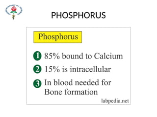 PHOSPHORUS
 