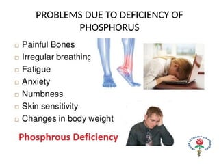 PROBLEMS DUE TO DEFICIENCY OF
PHOSPHORUS
 